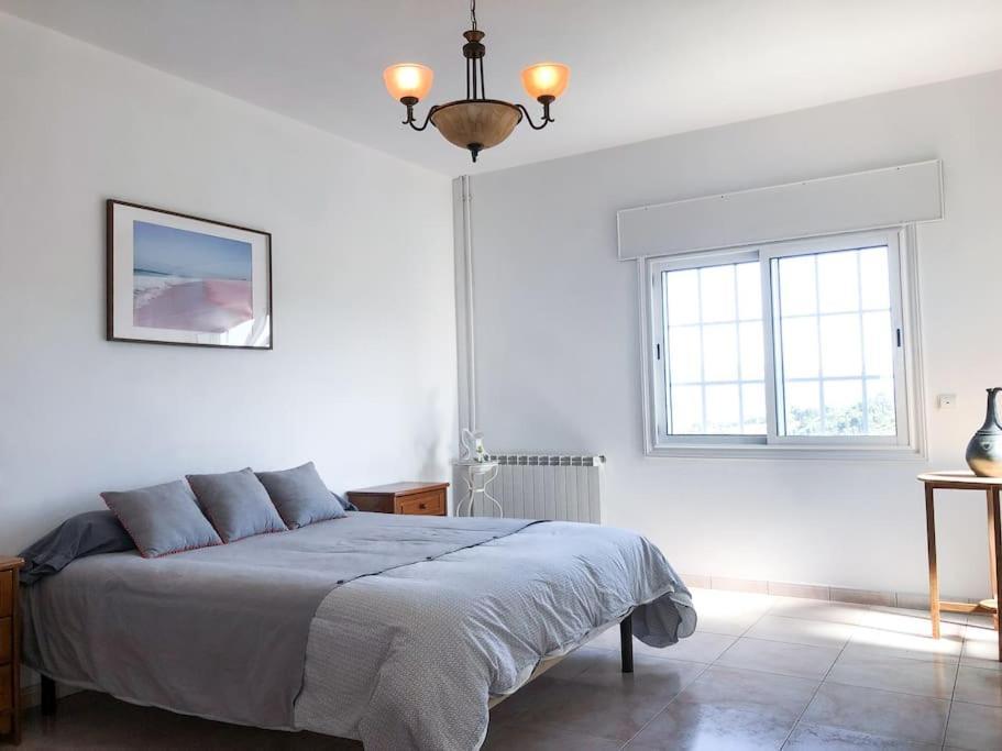 Maison Familiale De Caractere Avec Piscine Padronelo 外观 照片